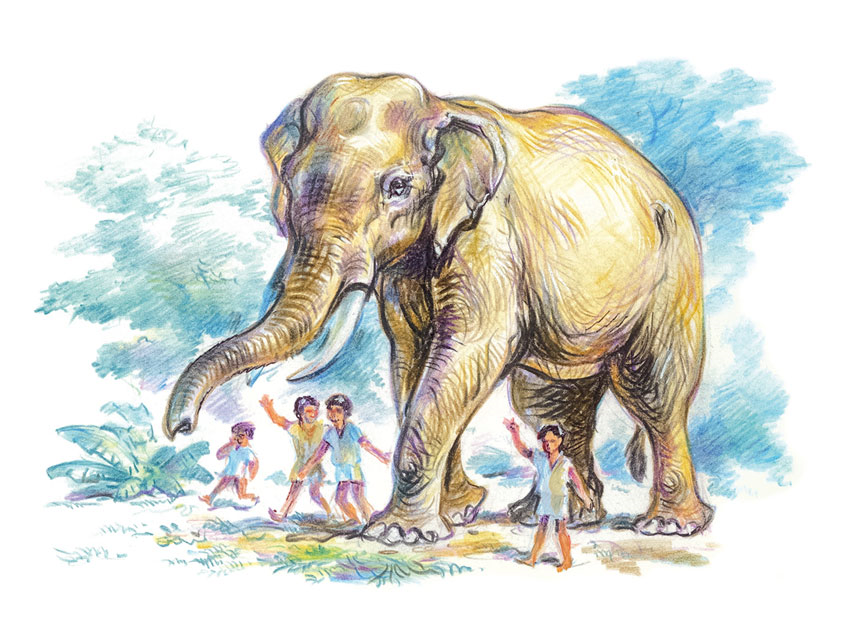 Бумажный слон читать рассказы. Рассказ Житкова про слона. Рассказ б.с. Житкова «про слона». Рассказ про слона Житков.